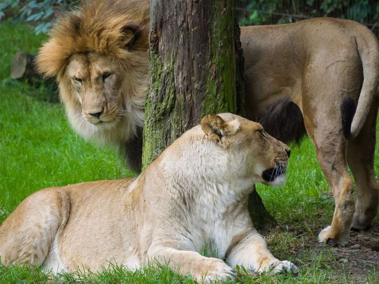 Zoo Rostock